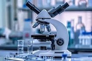 تاثیر میدان الکتریکی بر بدن موجودات زنده/ ویدئو